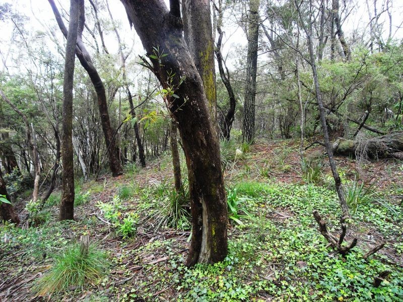 12 Farnells Road, Katoomba NSW 2780