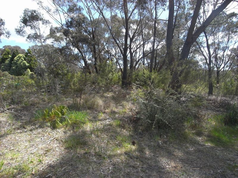 19 Stuarts Road, Katoomba NSW 2780