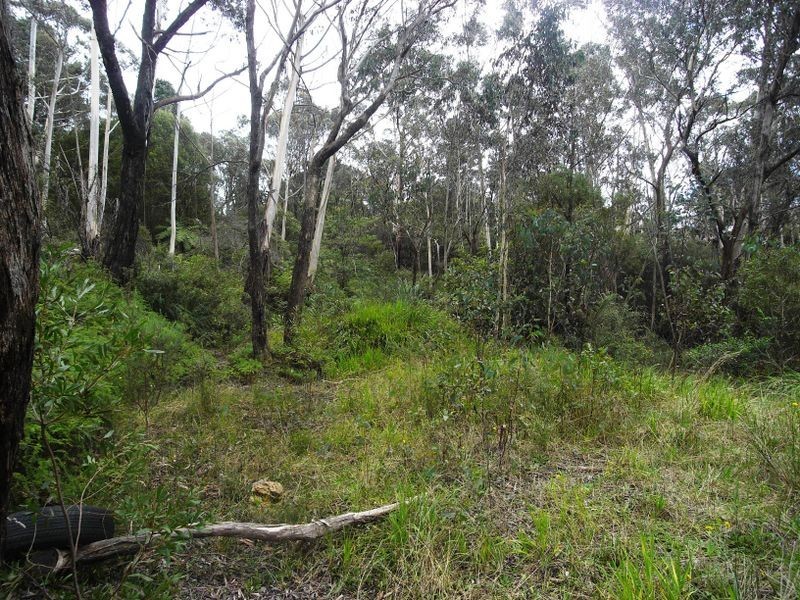 53 Burrawang Street, Katoomba NSW 2780