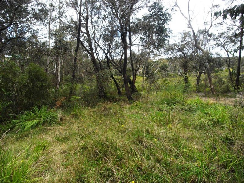 53 Burrawang Street, Katoomba NSW 2780