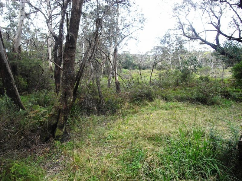 53 Burrawang Street, Katoomba NSW 2780