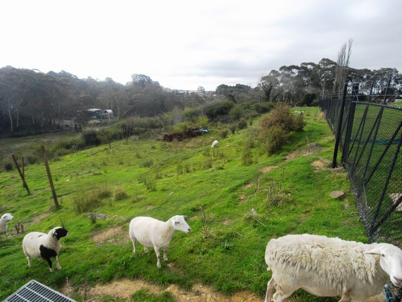 46-56 Woodlands Road, Katoomba NSW 2780