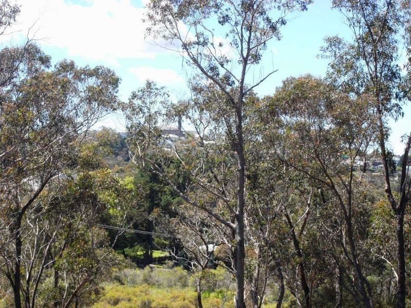 20 Glenwattle Close, Katoomba NSW 2780