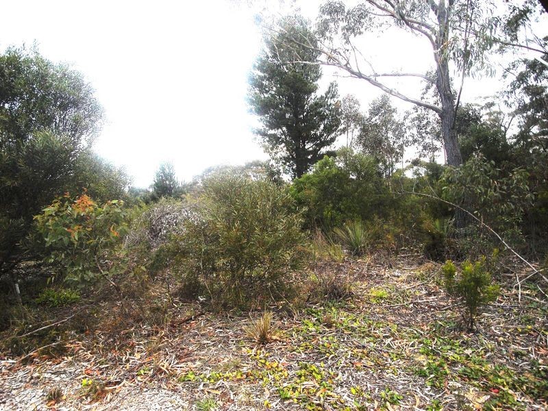 14 Wellington Road, Katoomba NSW 2780