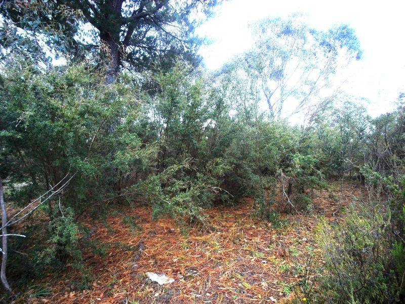 14 Wellington Road, Katoomba NSW 2780