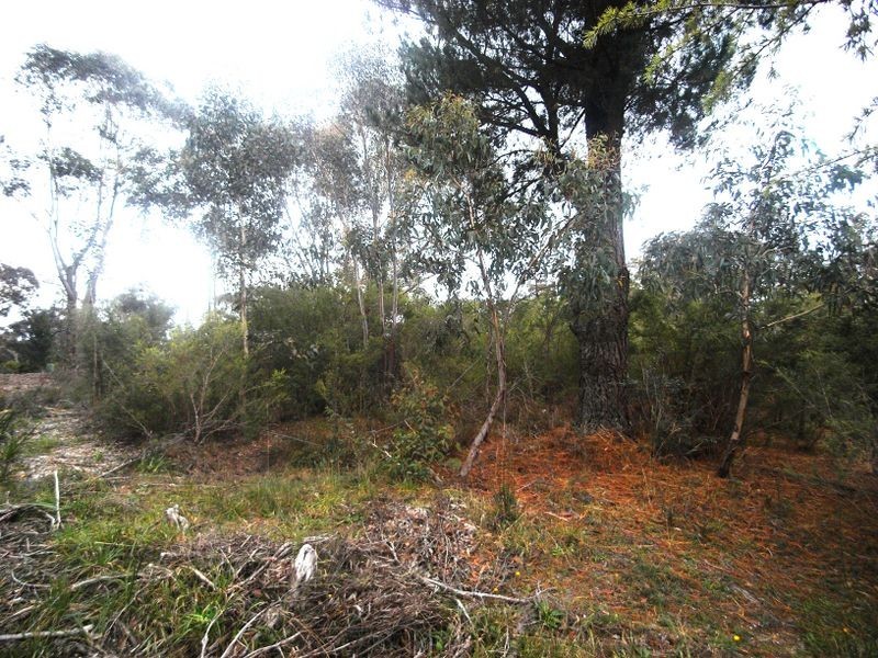 14 Wellington Road, Katoomba NSW 2780