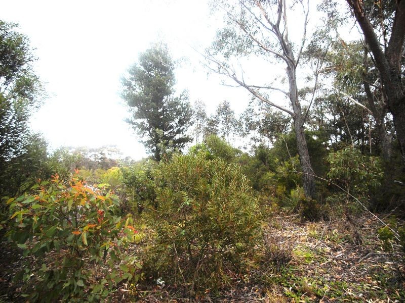 14 Wellington Road, Katoomba NSW 2780