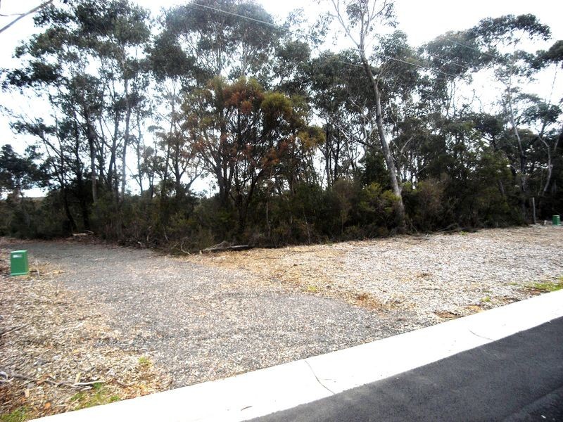 16 Wellington Road, Katoomba NSW 2780