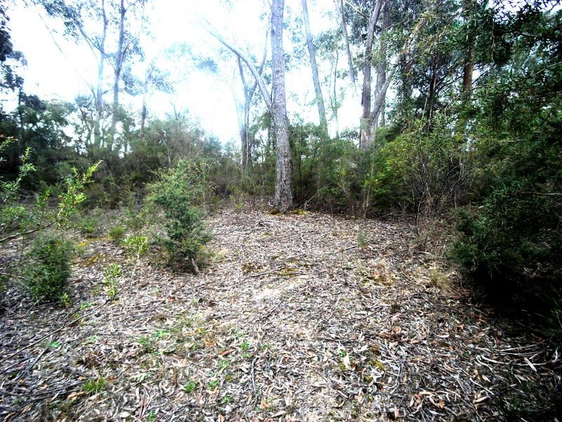 16 Wellington Road, Katoomba NSW 2780