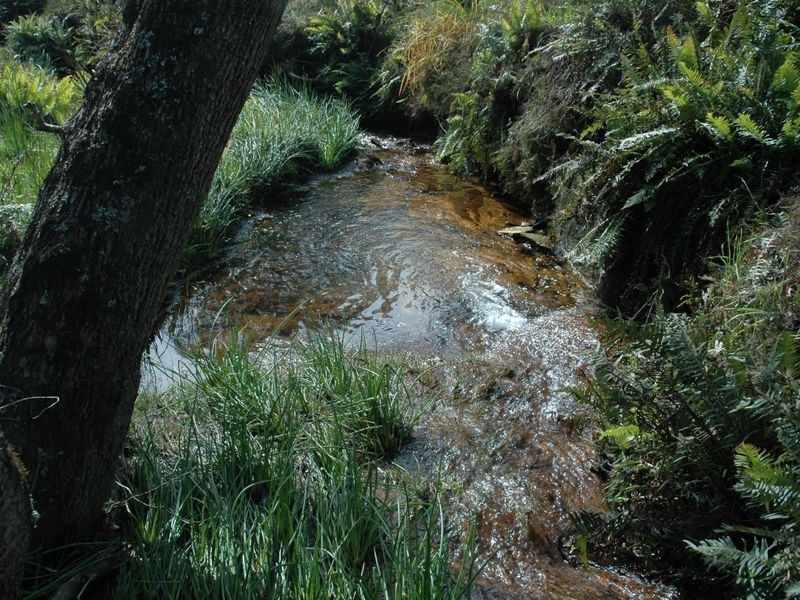 73 Seventh Ave, Katoomba NSW 2780