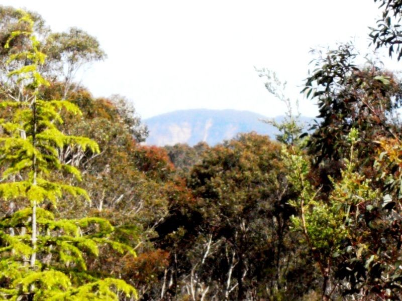 85-99 Burrawang Street, Katoomba NSW 2780