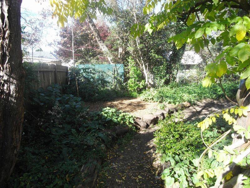 115 Waratah Street, Katoomba NSW 2780