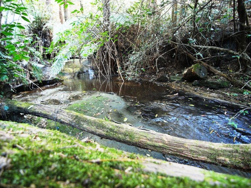 9 Selby Street, Katoomba NSW 2780