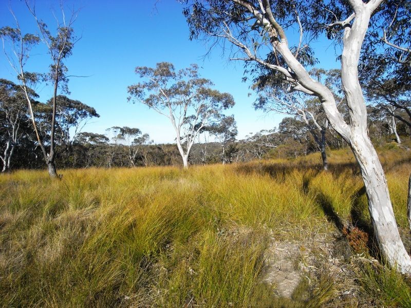 164 -172 Mount Hay Rd, Leura NSW 2780