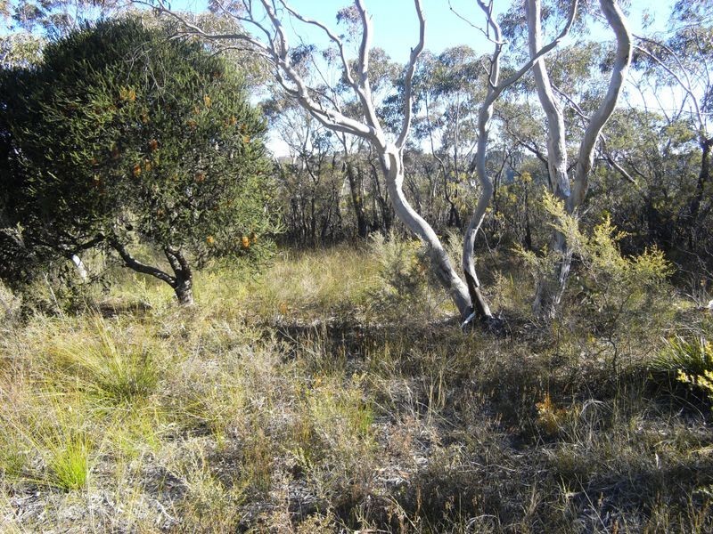 164 -172 Mount Hay Rd, Leura NSW 2780