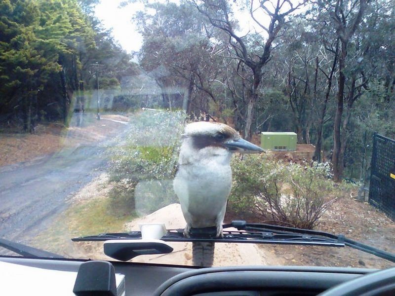 19 The Links Road, Leura NSW 2780