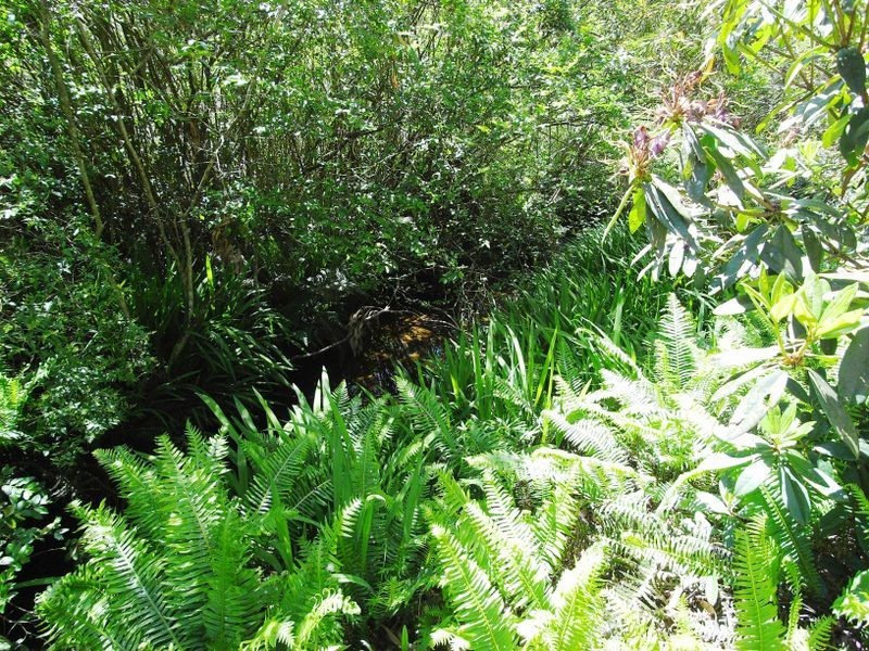 22 Gladstan Avenue, Katoomba NSW 2780