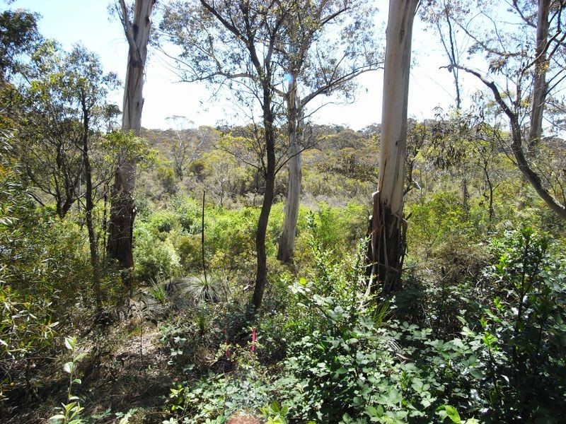 22 Gladstan Avenue, Katoomba NSW 2780