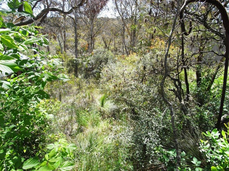 22 Gladstan Avenue, Katoomba NSW 2780