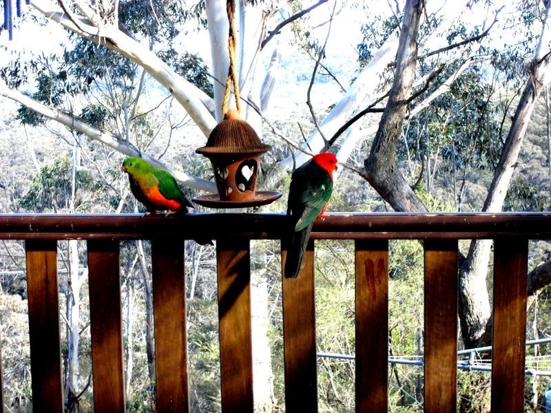 8 Watson Way, Katoomba NSW 2780