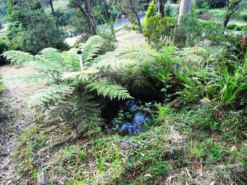 62 Mort Street, Katoomba NSW 2780