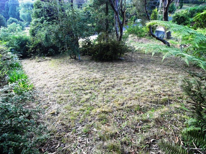 62 Mort Street, Katoomba NSW 2780