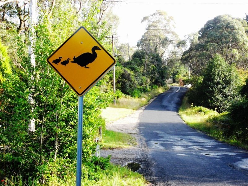 62 Mort Street, Katoomba NSW 2780