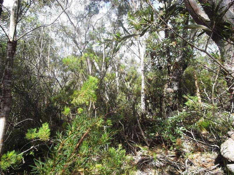 17 The Links Road, Leura NSW 2780
