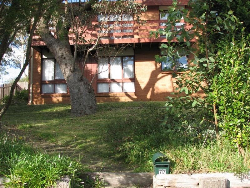 77 Victoria Street, Katoomba NSW 2780