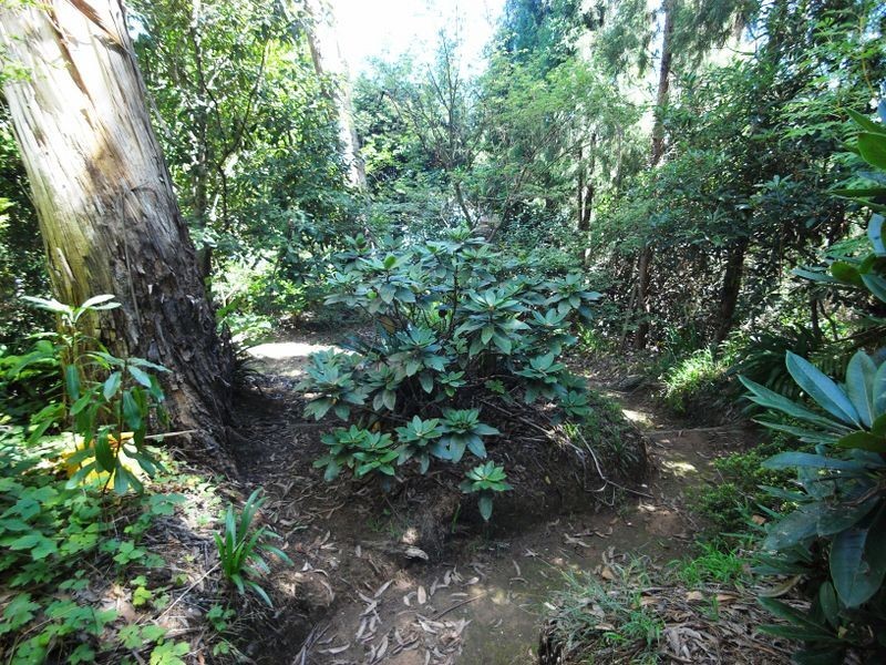 2/29 Waratah Street, Katoomba NSW 2780