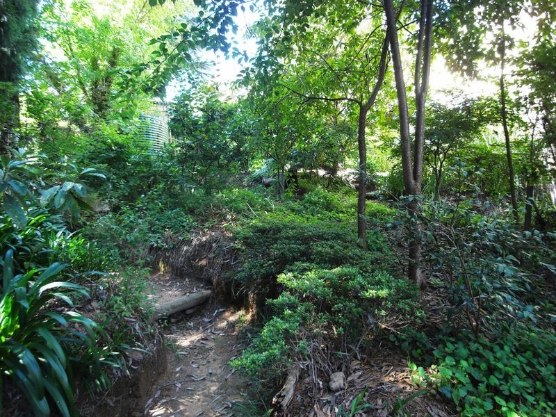 2/29 Waratah Street, Katoomba NSW 2780