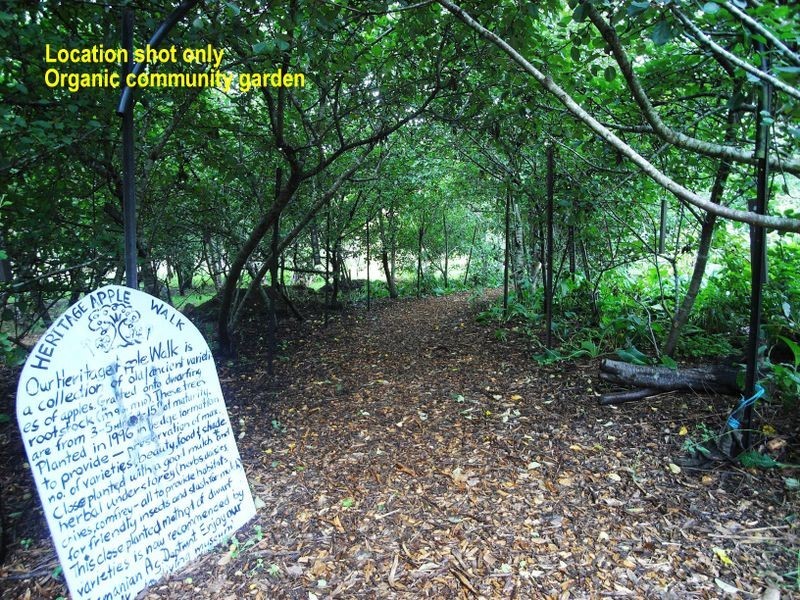 32A Victoria Street, Katoomba NSW 2780