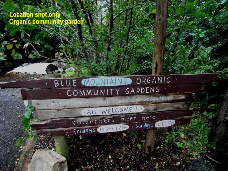 32A Victoria Street, Katoomba NSW 2780