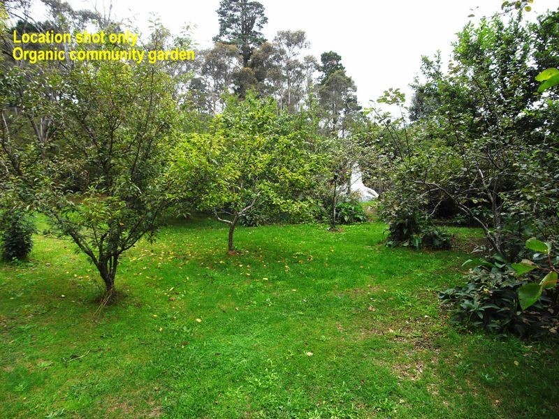 32A Victoria Street, Katoomba NSW 2780