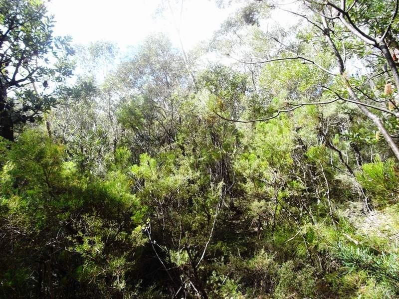 17 The Links Road, Leura NSW 2780