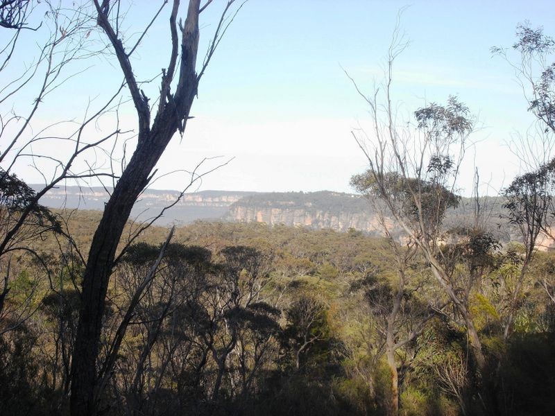 3-4 Frawley Street, Wentworth Falls NSW 2782