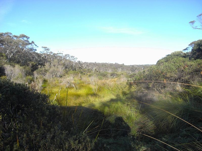 3-4 Frawley Street, Wentworth Falls NSW 2782