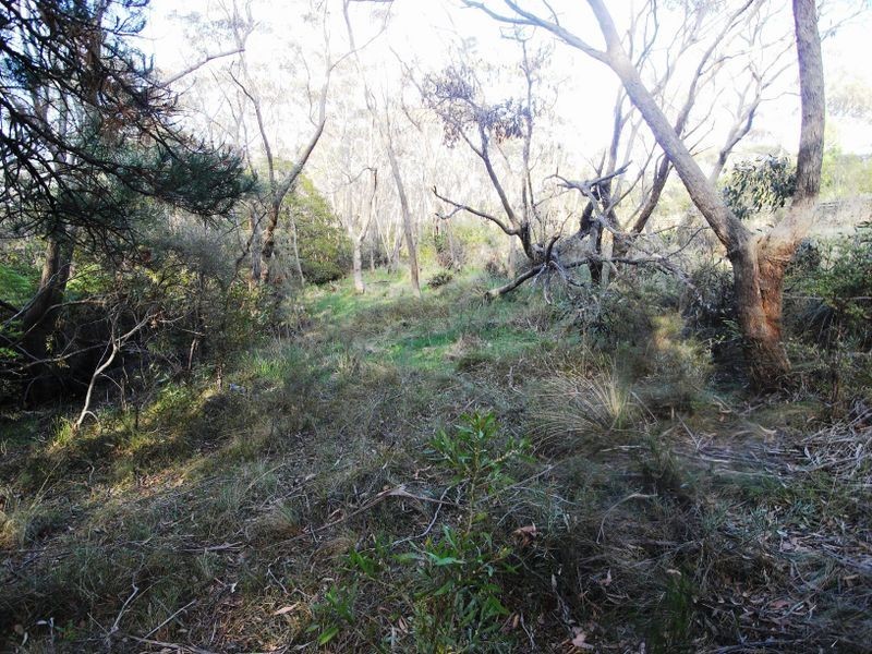 3-4 Frawley Street, Wentworth Falls NSW 2782