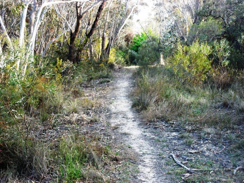 3-4 Frawley Street, Wentworth Falls NSW 2782