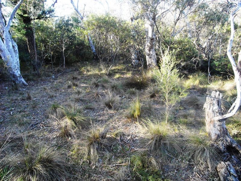 3-4 Frawley Street, Wentworth Falls NSW 2782