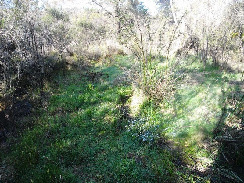 3-4 Frawley Street, Wentworth Falls NSW 2782