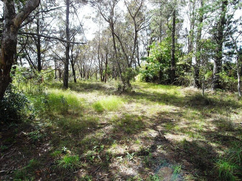 16 Yester Rd, Wentworth Falls NSW 2782