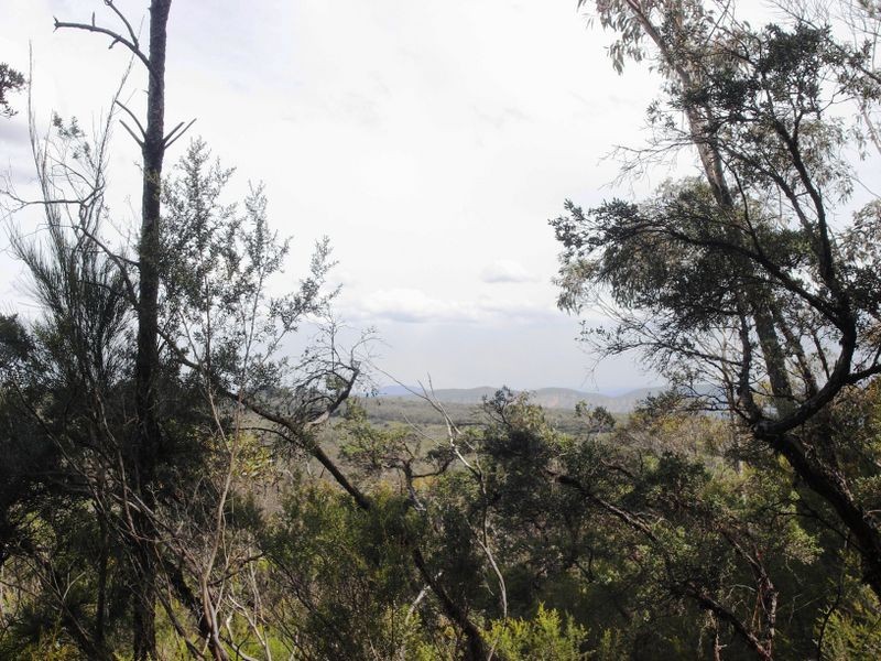 16 Yester Rd, Wentworth Falls NSW 2782