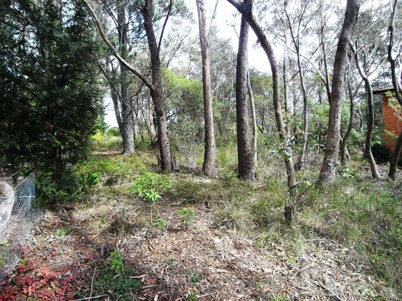 16 Yester Rd, Wentworth Falls NSW 2782