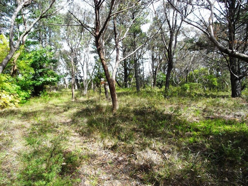 16 Yester Rd, Wentworth Falls NSW 2782