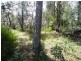 16 Yester Rd, Wentworth Falls NSW 2782