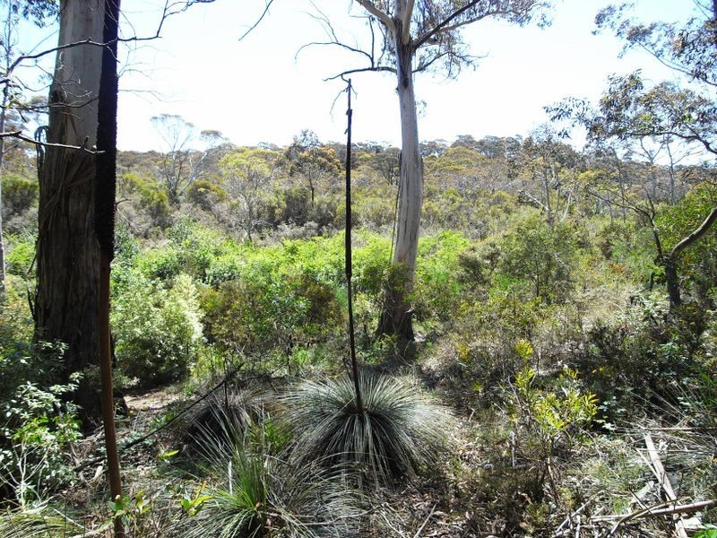 22 Gladstan Avenue, Katoomba NSW 2780