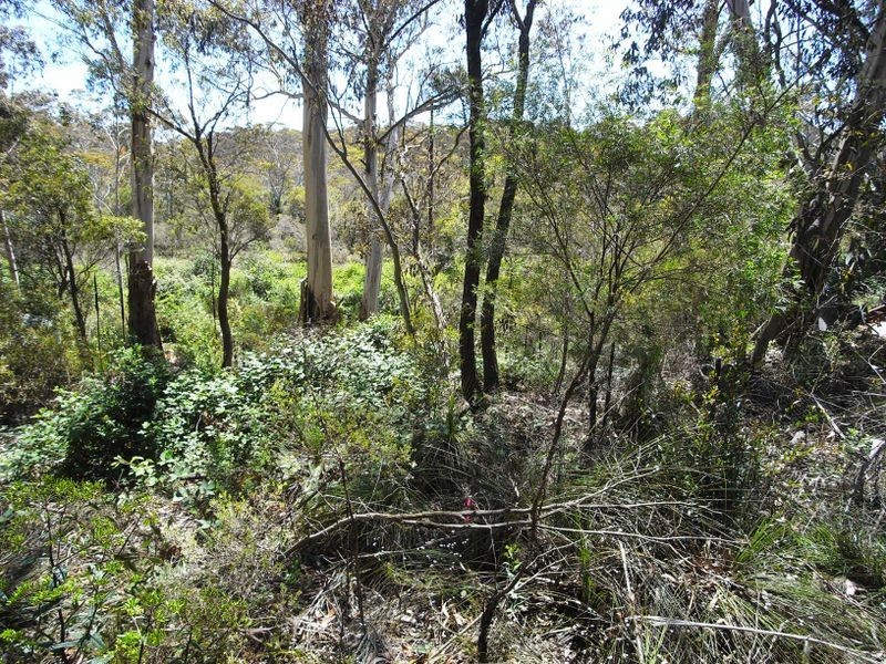 22 Gladstan Avenue, Katoomba NSW 2780