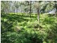 Lot 32 Kiangatha Cullenbenbong Rd, Kanimbla NSW 2790