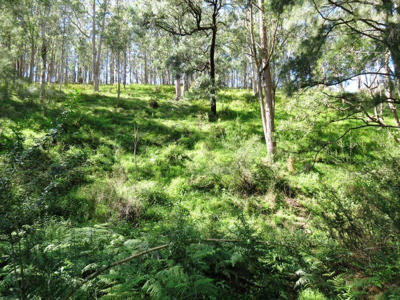 Lot 32 Kiangatha Cullenbenbong Rd, Kanimbla NSW 2790